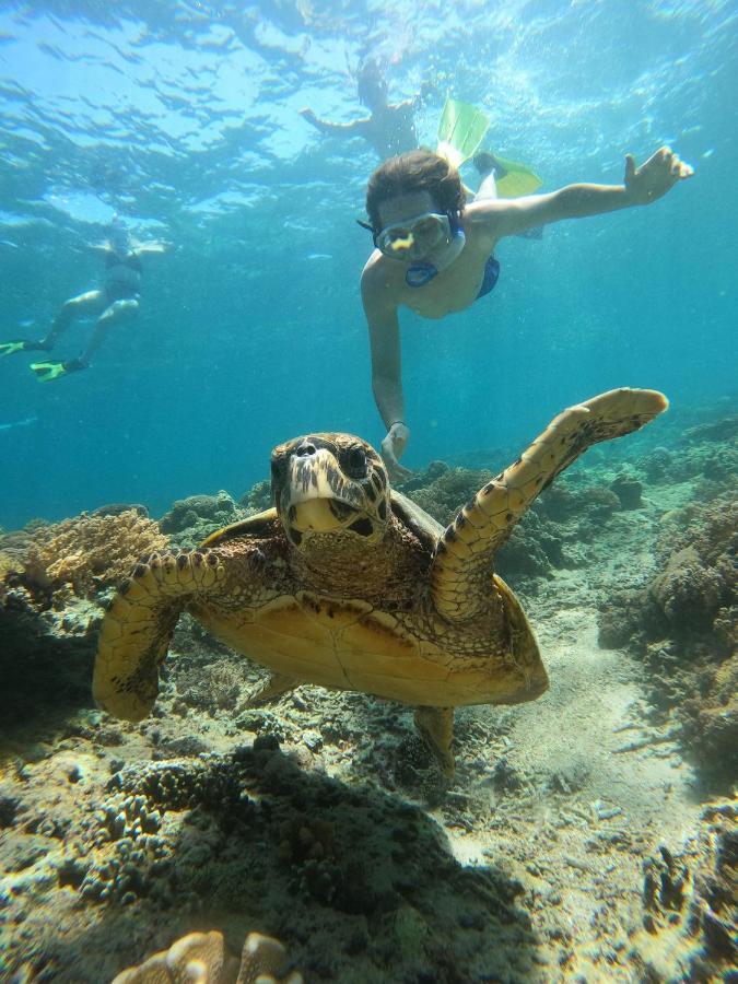 Gili Meno Mojo Beach Resort Eksteriør bilde