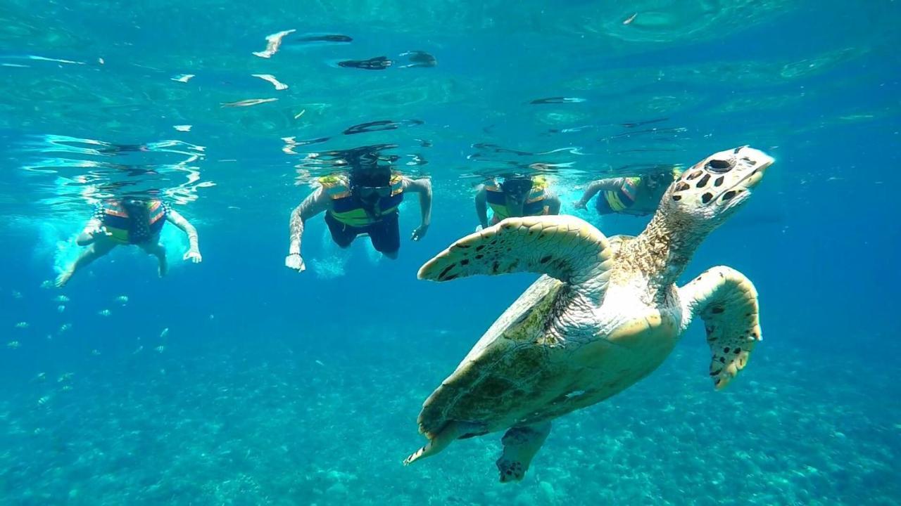 Gili Meno Mojo Beach Resort Eksteriør bilde